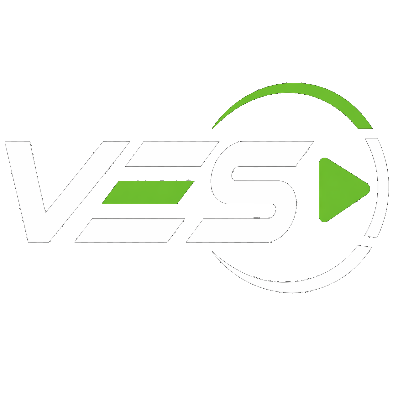 Logo VES